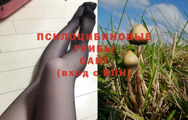 герыч Арсеньев