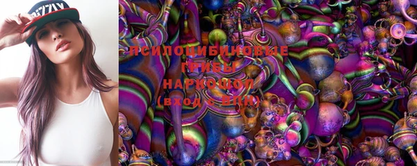 трава Сатка
