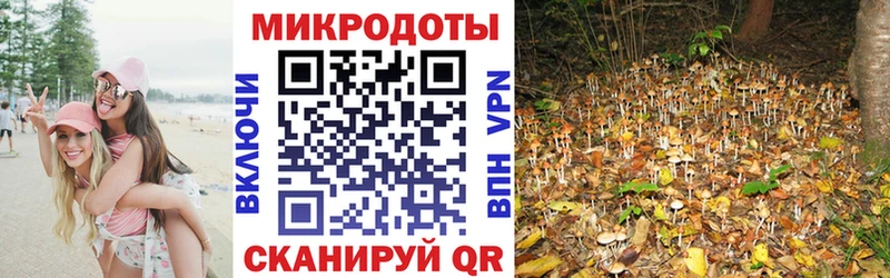 Купить закладки  Вилюйск  Псилоцибиновые грибы мицелий 